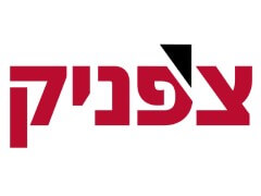 דוד צ'פניק ובניו